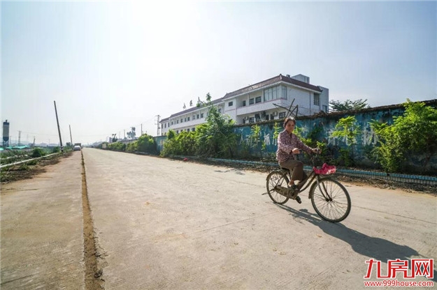 蓝田镇全面完成建元东路征迁工作——九房网