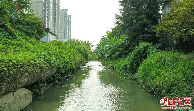 6亿元治理补助资金！漳州入选又一全国示范城市——九房网