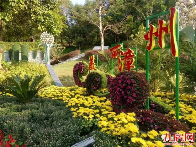 亲~周六，到芝山公园看菊花展哦——九房网