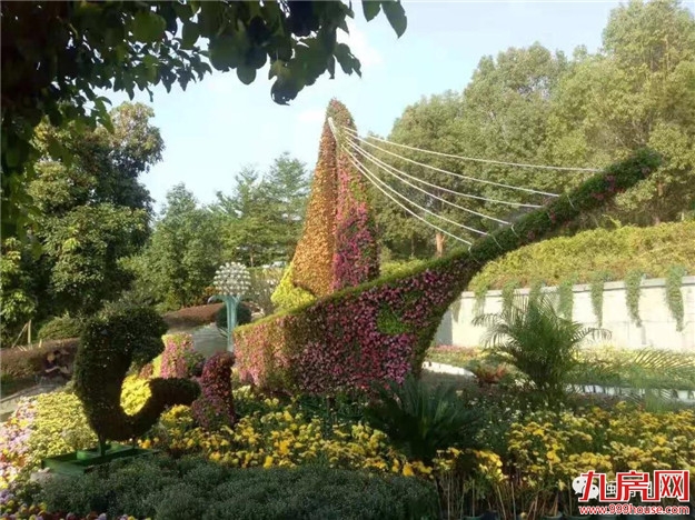 亲~周六，到芝山公园看菊花展哦——九房网