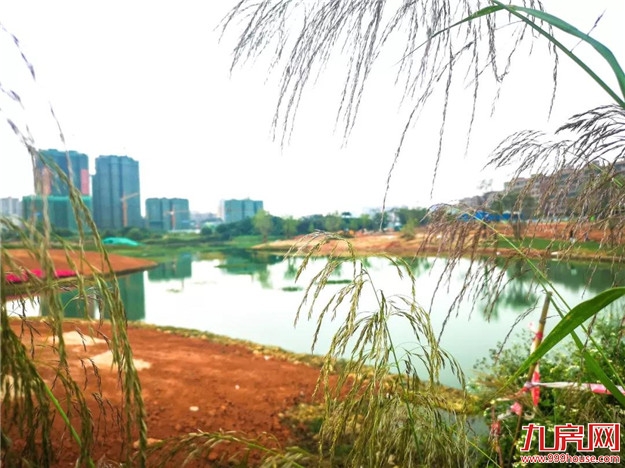 最新进展 | 上美湖湖体已完工!建成后长这样......——九房网 最新进展 | 上美湖湖体已完工!建成后长这样......——九房网