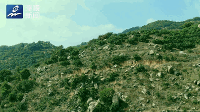 超燃视频 | 奥运冠军王军霞来漳州了！她这么评价漳州！——九房网