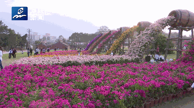拍手叫好 | 快来啊！南湖又添新风景！——九房网