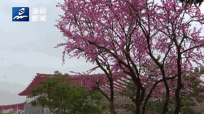 拍手叫好 | 快来啊！南湖又添新风景！——九房网