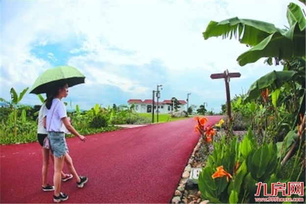 “三味”调出漳州芗城文化新动能 打造漳州古城——九房网 “三味”调出漳州芗城文化新动能 打造漳州古城——九房网