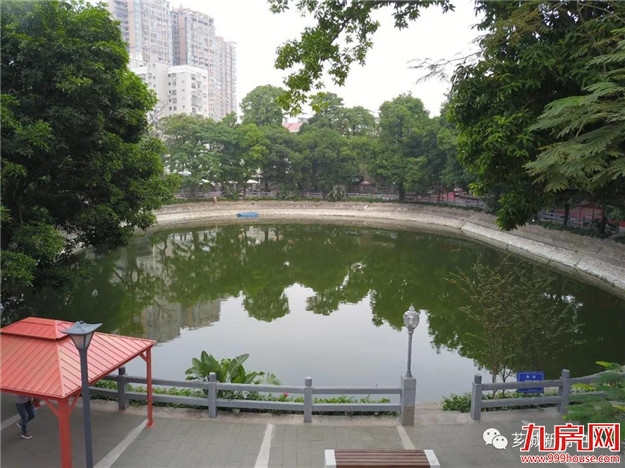 【芳容初显】侨村整治提升工程基本完成啦！！——九房网