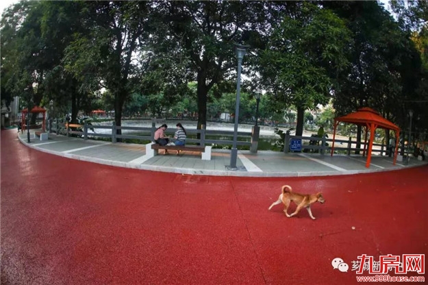 【芳容初显】侨村整治提升工程基本完成啦！！——九房网