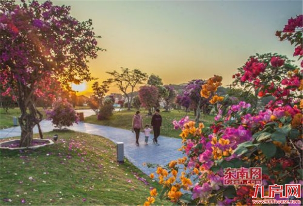 “漳州籍”花卉 走上美丽漳州百亿产业发展之路——九房网 “漳州籍”花卉 走上美丽漳州百亿产业发展之路——九房网