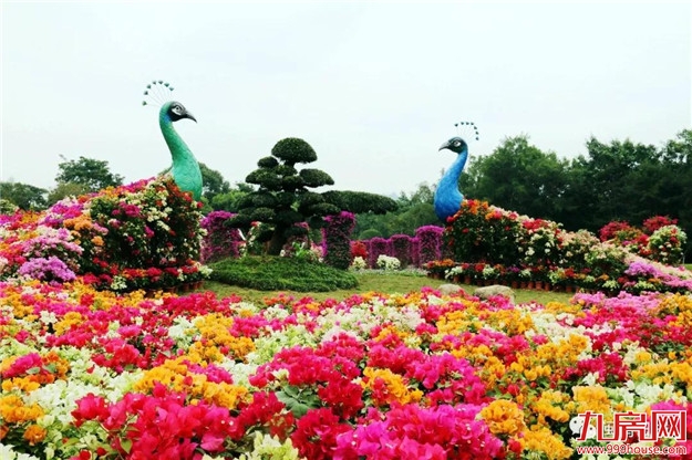 花博会20年:从花事活动到现代农业经贸盛会——九房网 花博会20年:从花事活动到现代农业经贸盛会——九房网