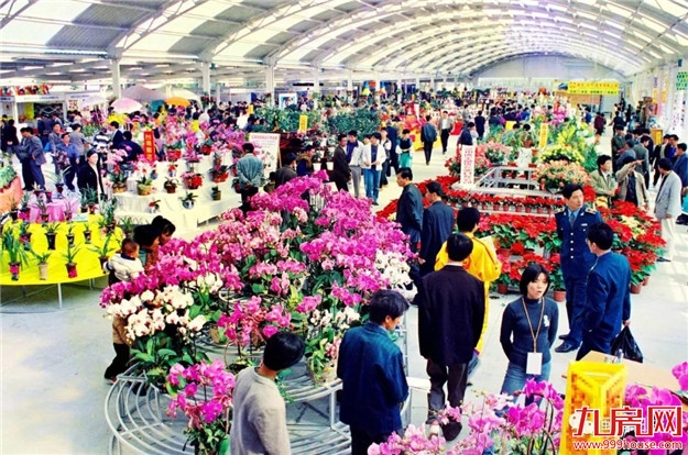 花博会20年:从花事活动到现代农业经贸盛会——九房网 花博会20年:从花事活动到现代农业经贸盛会——九房网