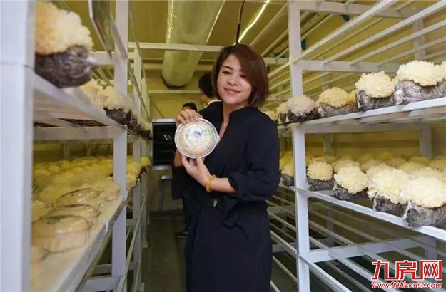 这个亚州乃至世界业界影响和规摸最大的行业盛会今天在龙文启幕，趁着周末赶紧去看看——九房网