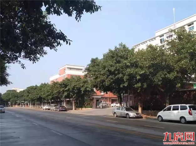 龙文:管住苗头堵住违建——九房网 龙文:管住苗头堵住违建——九房网