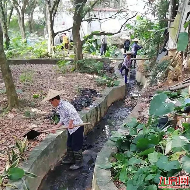 【环境治理】浦南镇：实施乡村振兴 打好环境治理战——九房网