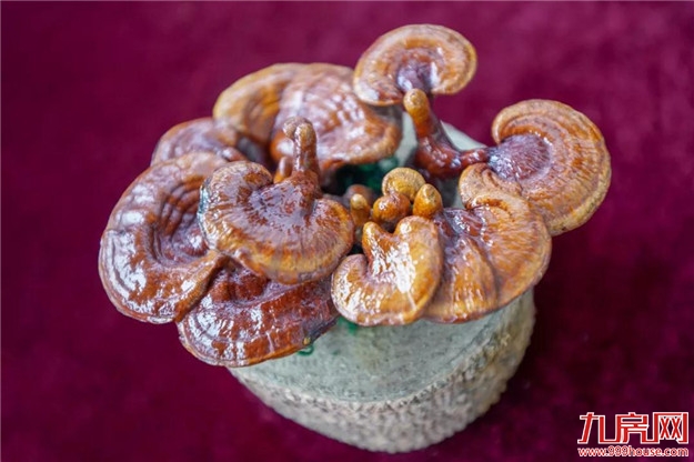 这个亚州乃至世界业界影响和规摸最大的行业盛会今天在龙文启幕，趁着周末赶紧去看看——九房网