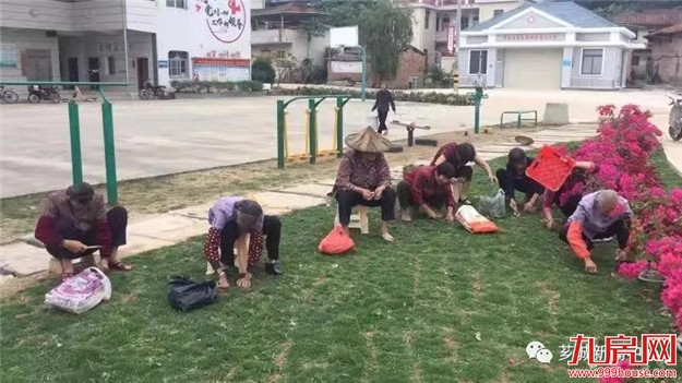 【环境治理】浦南镇：实施乡村振兴 打好环境治理战——九房网