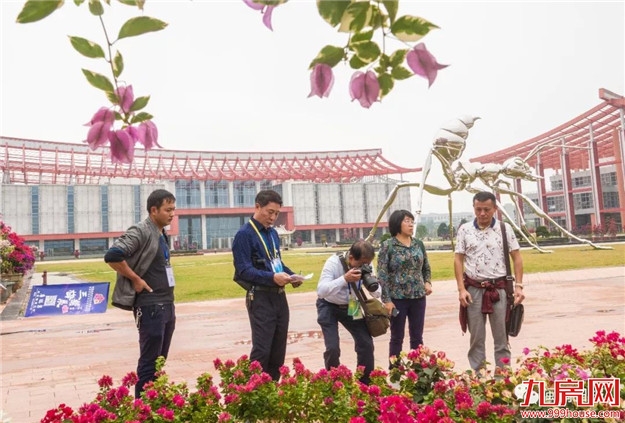 漳州:缤纷三角梅 花色艳千城——九房网 漳州:缤纷三角梅 花色艳千城——九房网