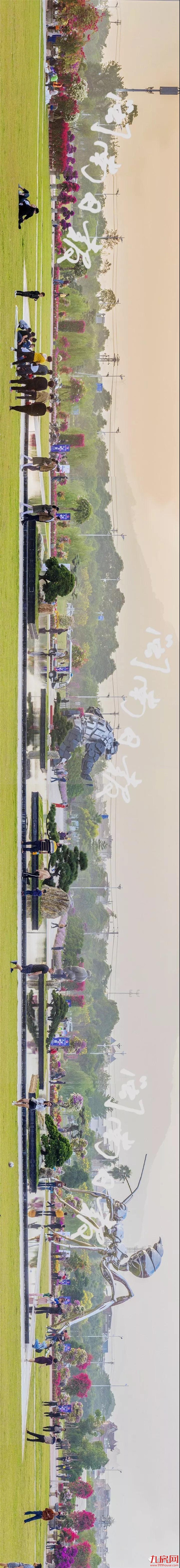 漳州:缤纷三角梅 花色艳千城——九房网 漳州:缤纷三角梅 花色艳千城——九房网