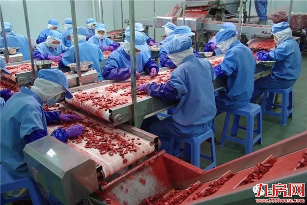 漳州:产业“接二连三”推进村强民富——九房网 漳州:产业“接二连三”推进村强民富——九房网