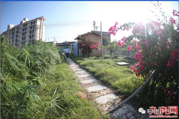 乡村污水的“生态疗治”——九房网 乡村污水的“生态疗治”——九房网