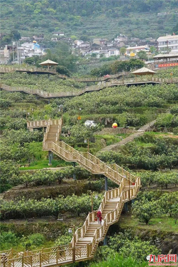 推进乡村治理,漳州这么做——九房网 推进乡村治理,漳州这么做——九房网