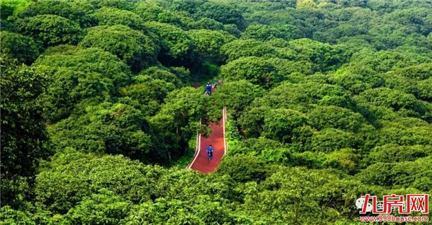 漳州:产业“接二连三”推进村强民富——九房网 漳州:产业“接二连三”推进村强民富——九房网