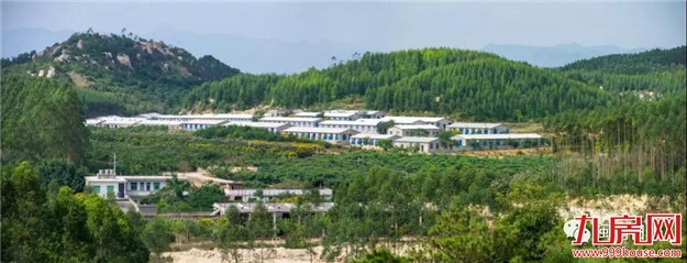 用得好,废弃物也是宝 | 高效利用畜禽养殖废弃物, 漳州这样做——九房网 用得好,废弃物也是宝 | 高效利用畜禽养殖废弃物, 漳州这样做——九房网