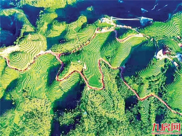 漳州市九龙江集团: 致力打造“生态+”现代农业新模式——九房网 漳州市九龙江集团: 致力打造“生态+”现代农业新模式——九房网