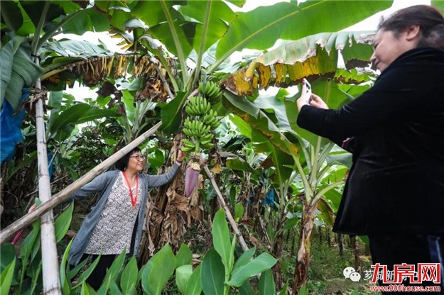 “行进中国·海外华文媒体漳州行”启动仪式在林语堂纪念馆举行——九房网 “行进中国·海外华文媒体漳州行”启动仪式在林语堂纪念馆举行——九房网