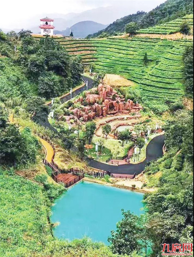 漳州市九龙江集团: 致力打造“生态+”现代农业新模式——九房网 漳州市九龙江集团: 致力打造“生态+”现代农业新模式——九房网