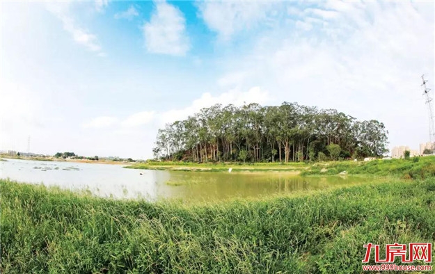 漳州:整治黑臭水体 实现岸绿景美——九房网 漳州:整治黑臭水体 实现岸绿景美——九房网