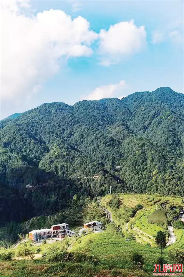 漳州市九龙江集团: 致力打造“生态+”现代农业新模式——九房网 漳州市九龙江集团: 致力打造“生态+”现代农业新模式——九房网