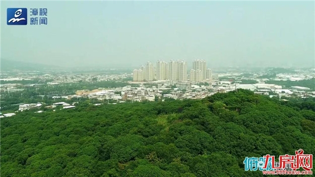俯瞰漳州谁最美 · 这里是高新区——九房网