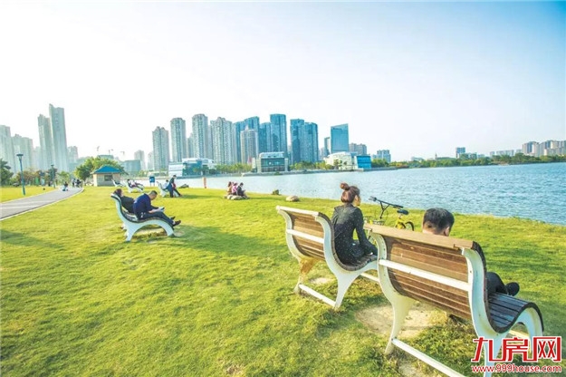 漳州:整治黑臭水体 实现岸绿景美——九房网 漳州:整治黑臭水体 实现岸绿景美——九房网