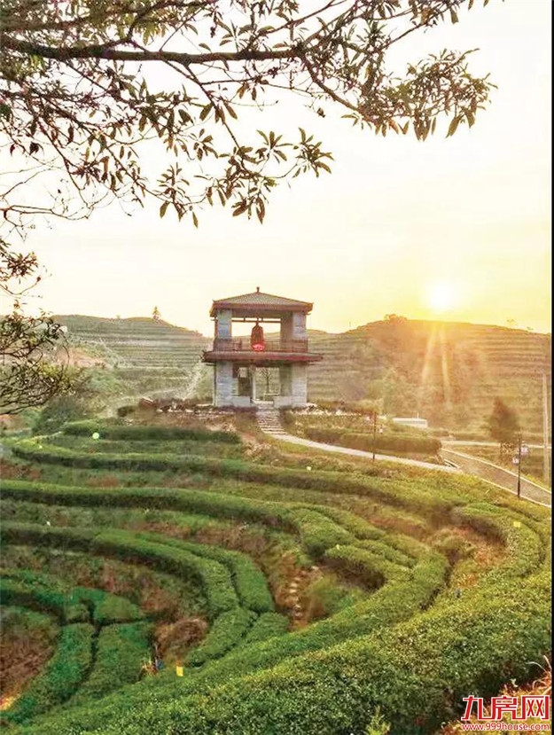 漳州市九龙江集团: 致力打造“生态+”现代农业新模式——九房网 漳州市九龙江集团: 致力打造“生态+”现代农业新模式——九房网