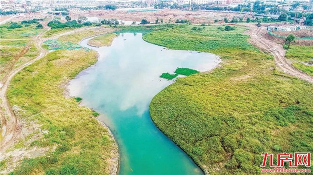 漳州:整治黑臭水体 实现岸绿景美——九房网 漳州:整治黑臭水体 实现岸绿景美——九房网
