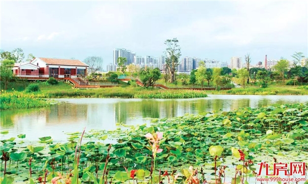 漳州:整治黑臭水体 实现岸绿景美——九房网 漳州:整治黑臭水体 实现岸绿景美——九房网