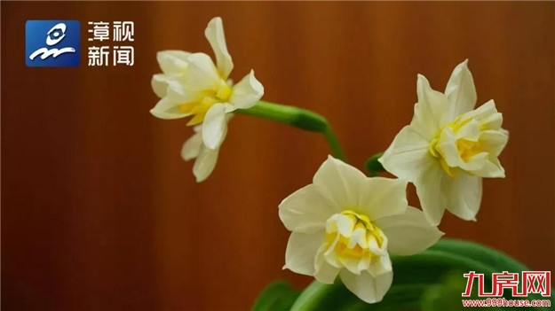 就在漳州 | 胡春华:全面推进资源化利用 加快改善农村人居环境——九房网 就在漳州 | 胡春华:全面推进资源化利用 加快改善农村人居环境——九房网