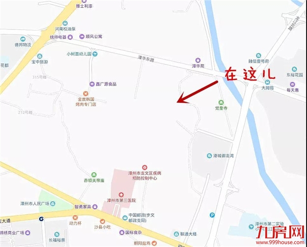 漳州又多了一片花海，女生见了都迈不开脚步，赶快来看看在哪里？——九房网