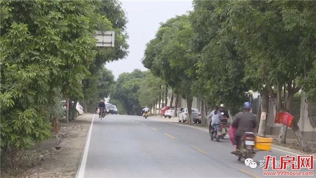 【服务乡村振兴】芗城：加快农村公路生态示范路建设——九房网