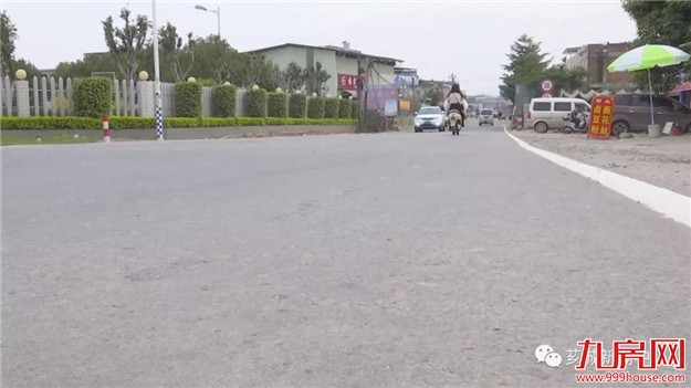 【服务乡村振兴】芗城：加快农村公路生态示范路建设——九房网