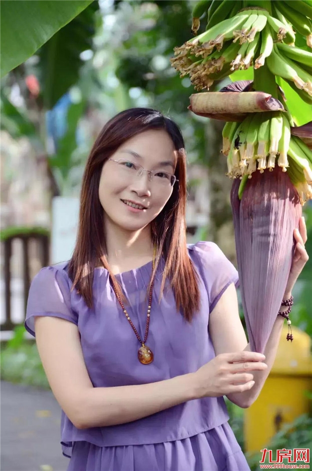 龙江夜读丨三角梅的时光——九房网 龙江夜读丨三角梅的时光——九房网