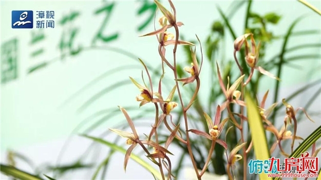 俯瞰漳州谁最美 · 这里是南靖——九房网 俯瞰漳州谁最美 · 这里是南靖——九房网