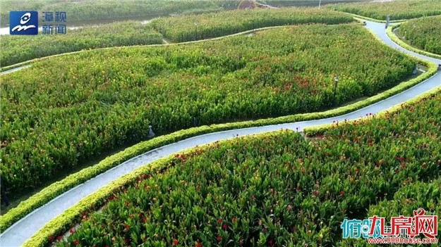 俯瞰漳州谁最美 · 这里是台商区——九房网 俯瞰漳州谁最美 · 这里是台商区——九房网