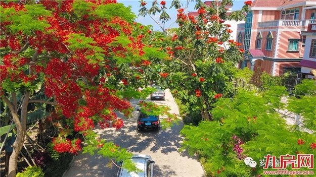 【美丽乡村】天宝镇：裸房将“整容”，立面穿“新衣”，让乡村美起来——九房网