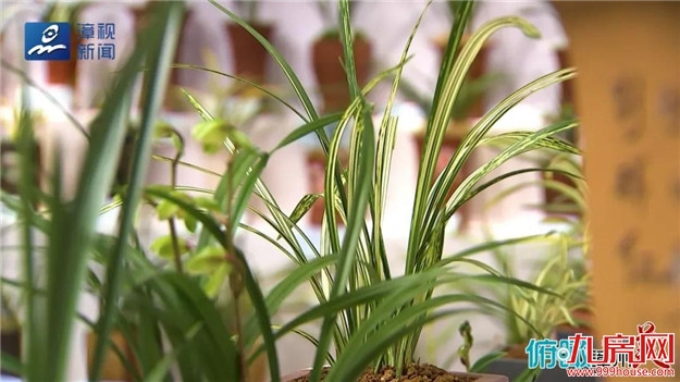 俯瞰漳州谁最美 · 这里是南靖——九房网 俯瞰漳州谁最美 · 这里是南靖——九房网