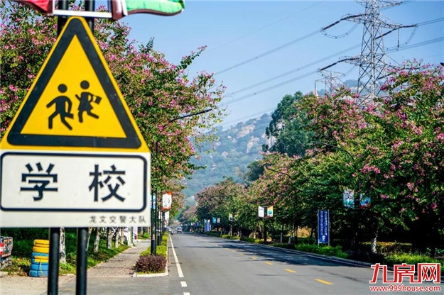 云洞岩脚下这条浪漫的紫荆花路,你还没来吗?——九房网 云洞岩脚下这条浪漫的紫荆花路,你还没来吗?——九房网