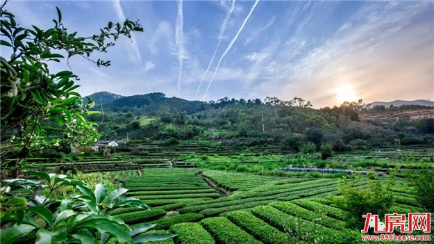 赞一个!和平乡成功入选“2018中国旅游产业影响力美丽乡村”——九房网 赞一个!和平乡成功入选“2018中国旅游产业影响力美丽乡村”——九房网