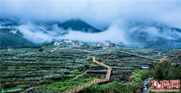 赞一个!和平乡成功入选“2018中国旅游产业影响力美丽乡村”——九房网 赞一个!和平乡成功入选“2018中国旅游产业影响力美丽乡村”——九房网