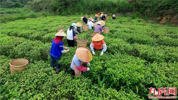 赞一个!和平乡成功入选“2018中国旅游产业影响力美丽乡村”——九房网 赞一个!和平乡成功入选“2018中国旅游产业影响力美丽乡村”——九房网