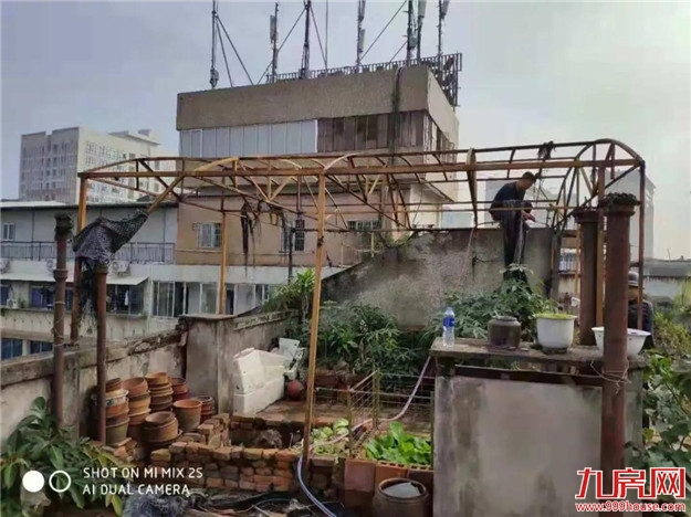 【整治“两违”】攻坚克难，23宗顶楼违章建筑被依法拆除！——九房网